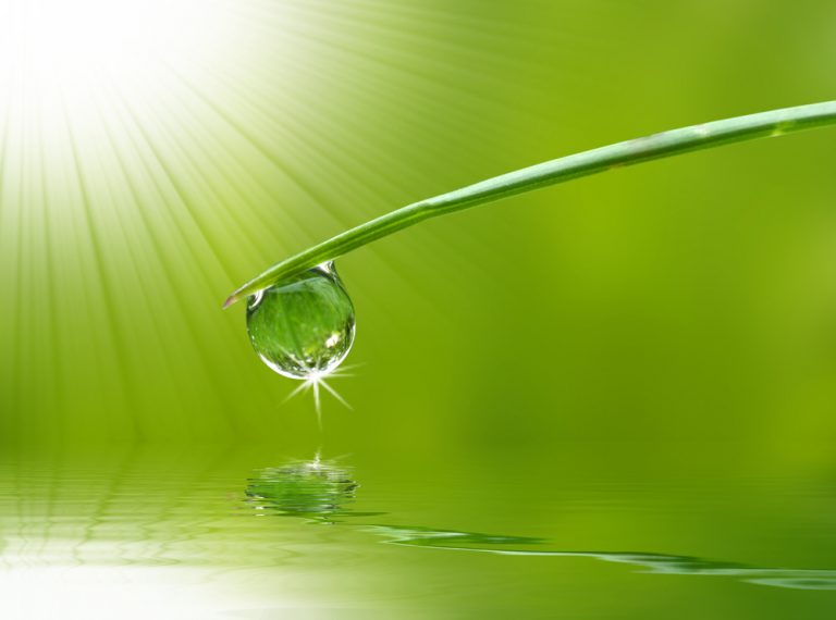 Drop of Spring Water Zen